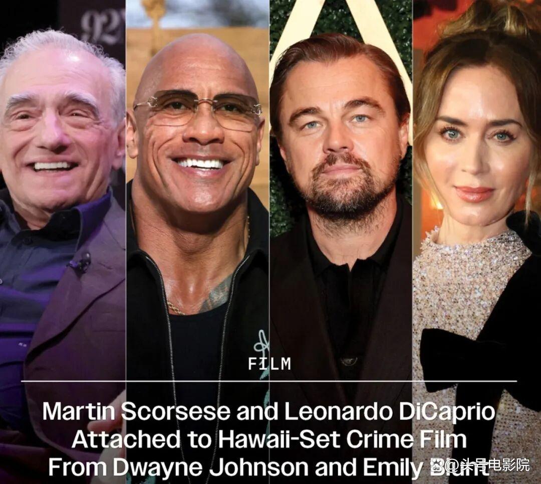 电影网站介绍几个安全的主要内容是