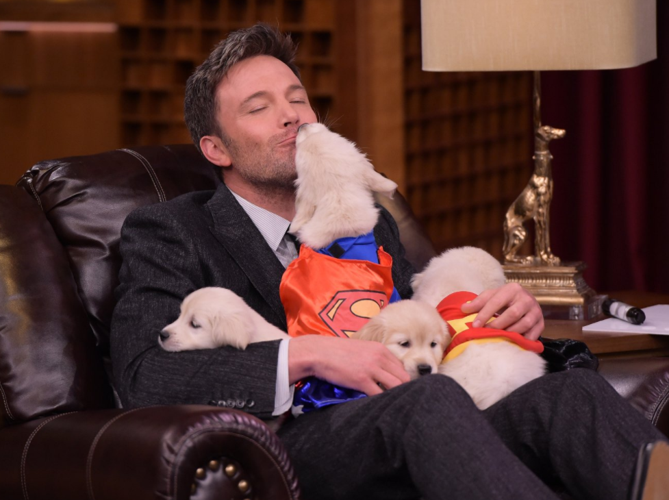 电影网站起什么名字好呢