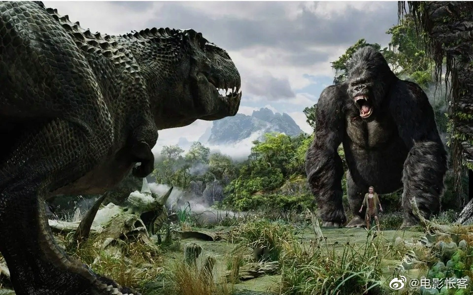 电影网站起什么名字好呢