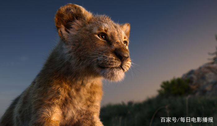 高分电影榜9分以上2021