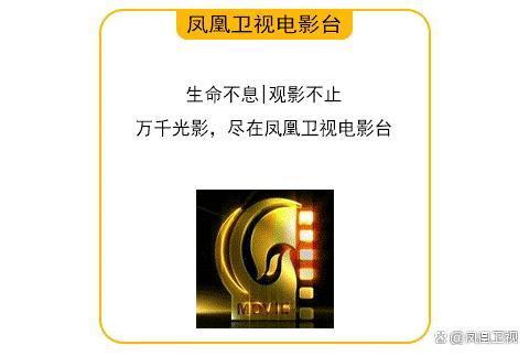 电影排名实时更新