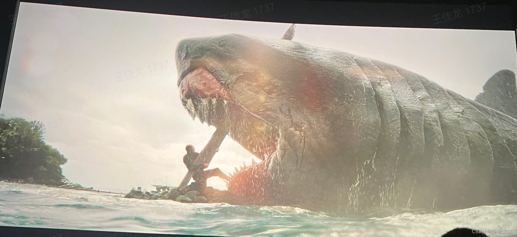 一生必看的经典电影(值得珍藏)